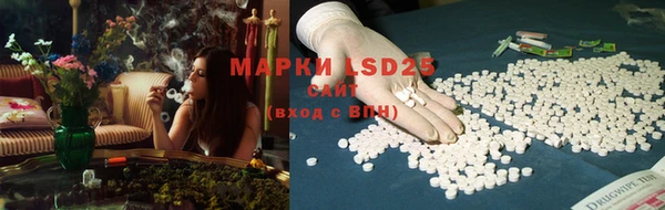 ECSTASY Богородицк