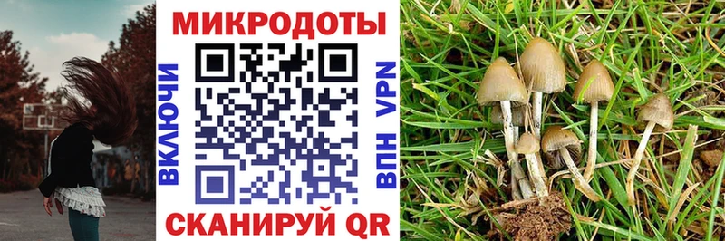 Галлюциногенные грибы мухоморы  Сольвычегодск 