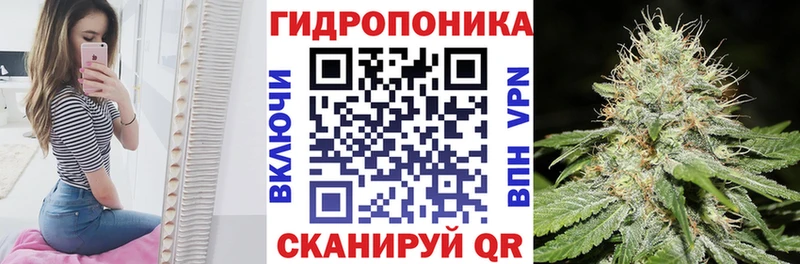 Бошки Шишки SATIVA & INDICA  цены   гидра маркетплейс  Сольвычегодск 